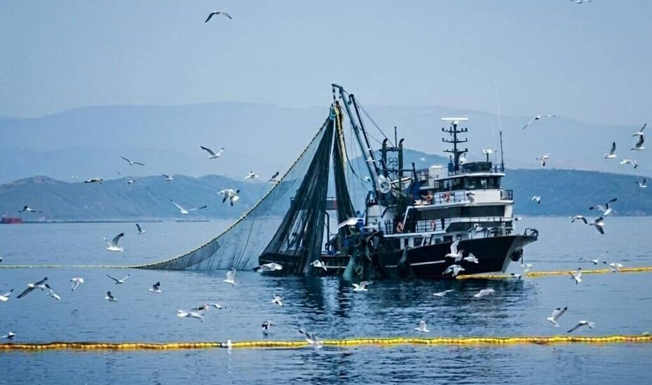 Denizlerde av yasağı 15 Nisan’da başlıyor